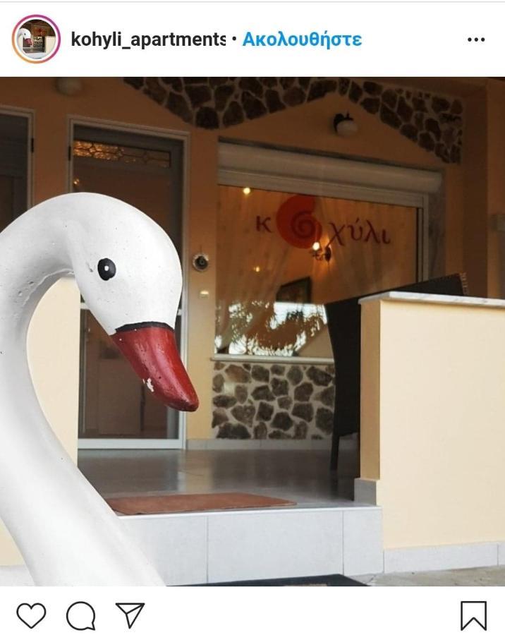 Kohyli Apartments Skala Rachoni  Bagian luar foto